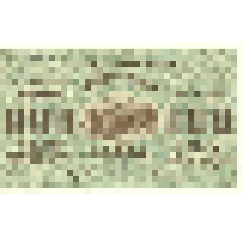 Денежный знак 100 000 000 рублей