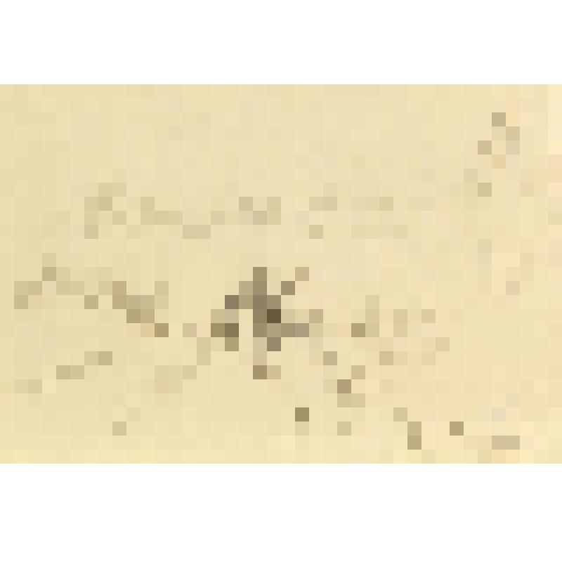 Валдай. С коромыслом