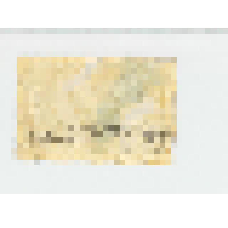 Марка почтовая. "Пионеры у макета МГУ". Мир и счастье детей неотделимы! (Номинал -40 копеек)