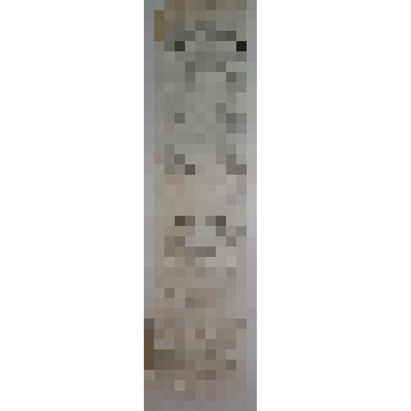 Программа. "На Волге". Астрахань, Большой театр Н.И. Плотникова; Антреприза, Труппа артистов под управлением П.М. Медведева