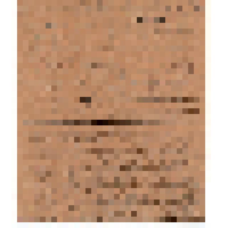 Председатель Особого совещания по продовольствию "Лихославль. Хлебармия"