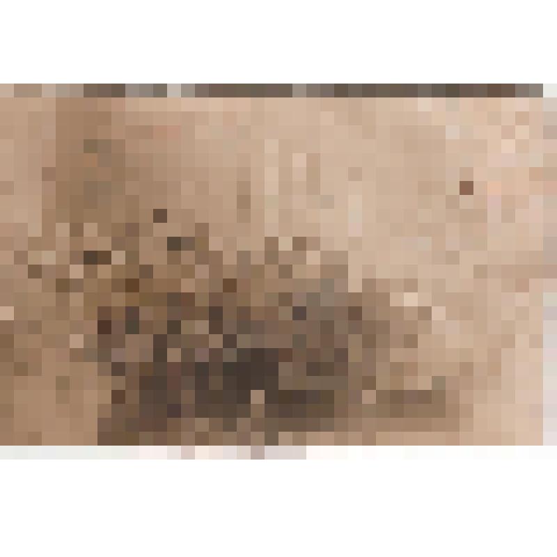 Фотография. Юркин Николай Константинович  среди товарищей