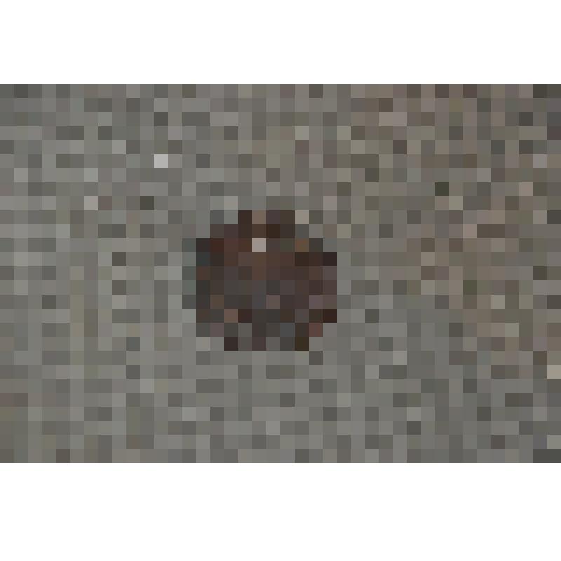 Монета номиналом одна копейка