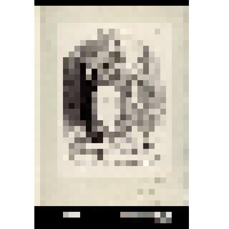 «Vois comme ils m'avaient abimé mes murailles avec leurs conduits de cheminée ...»