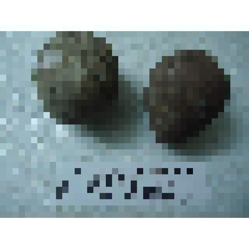 Галька для пращи