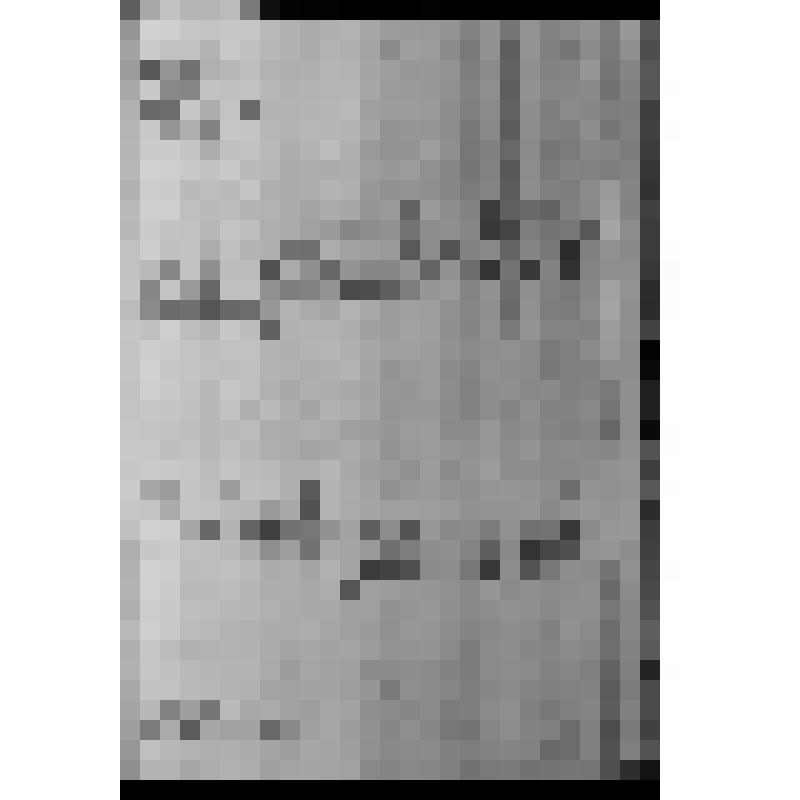 КОПИЯ ОТНОШЕНИЯ