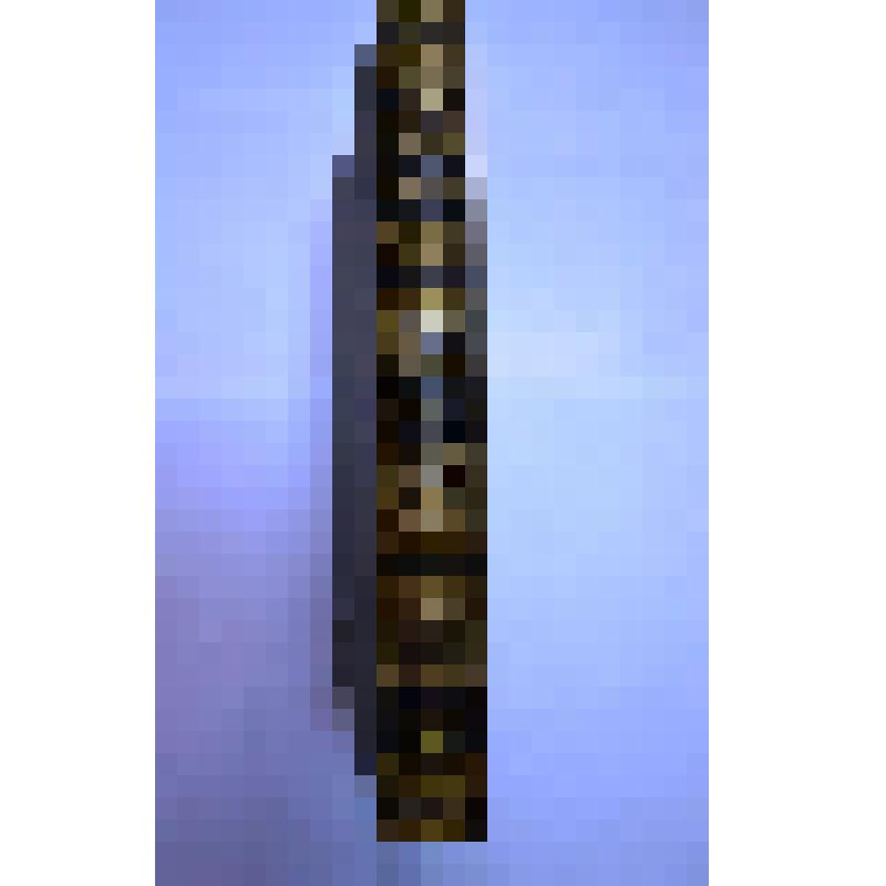 Энциклопедический словарь / Ф.А. Брокгауз, И.А. Ефрон. - Том XII (кн.23). Жилы - Земпах. - С.-Петербург: Типография АО Брокгауз-Ефрон