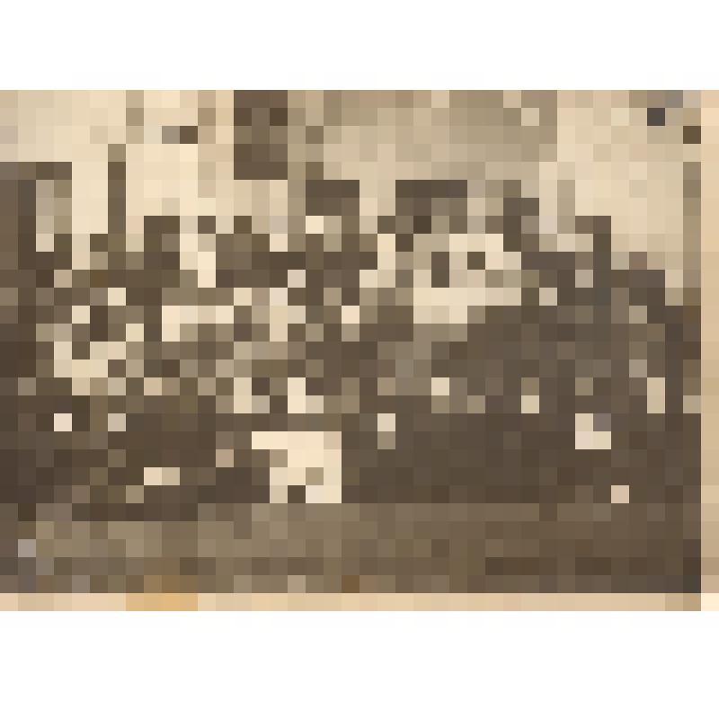 Фото. Первые выпускники 2-й военно-окружной школы инструкторов физического образования Приуральского Военного округа в г. Вятке