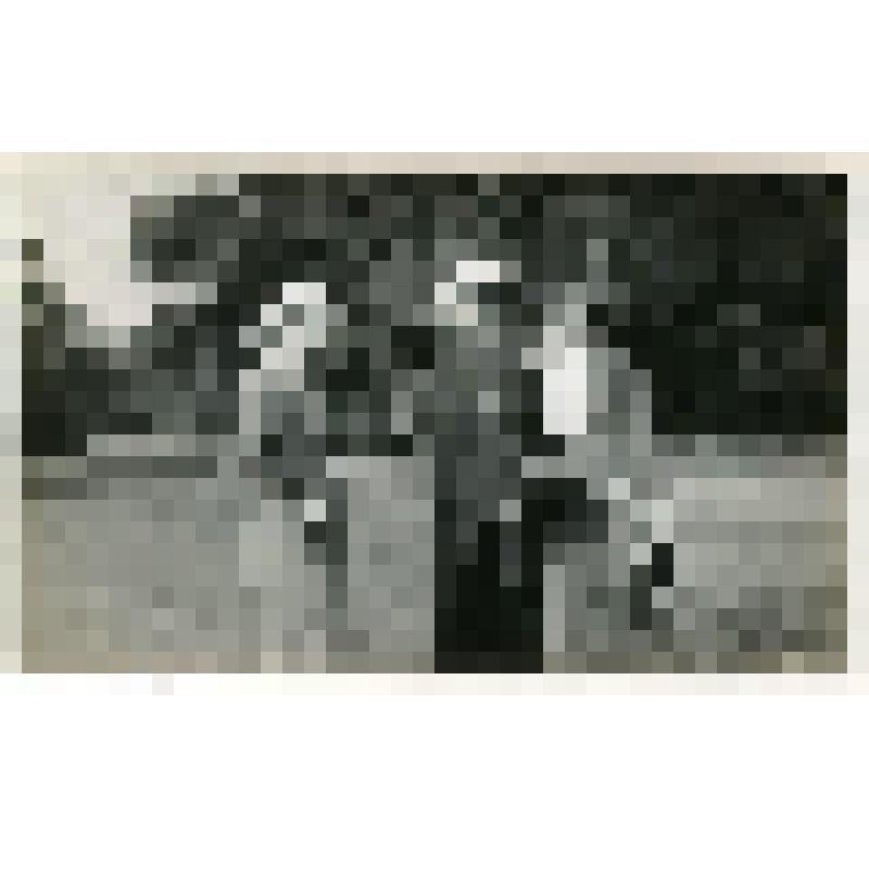 Фотография. М.Н. Горшкова, М.К. Невельская, поколенно, фас