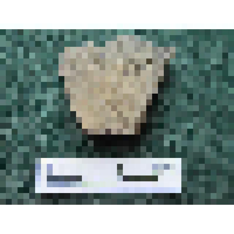 Фрагмент тулова сероглиняного сосуда