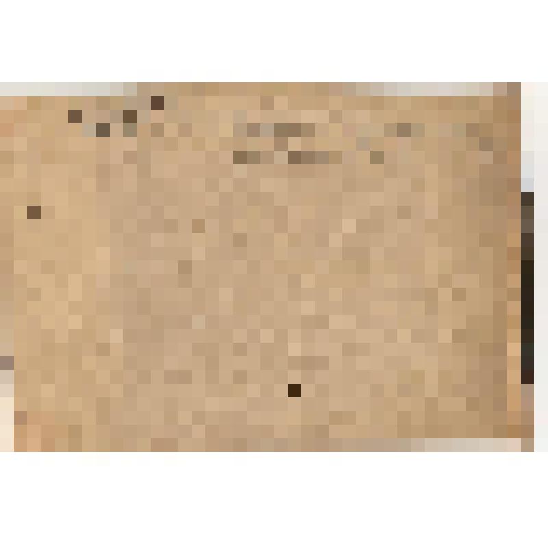 Фотография. Учителя Киришского района