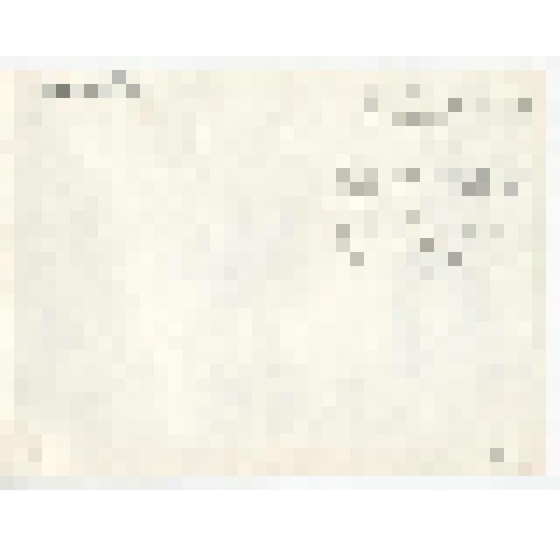 Фотография. Деревня Новые Кириши