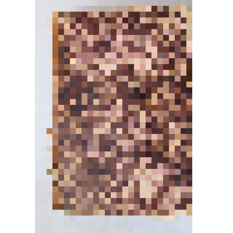 Книга. Смирновская. Пособие по литературе. Том 2. Москва, 1911