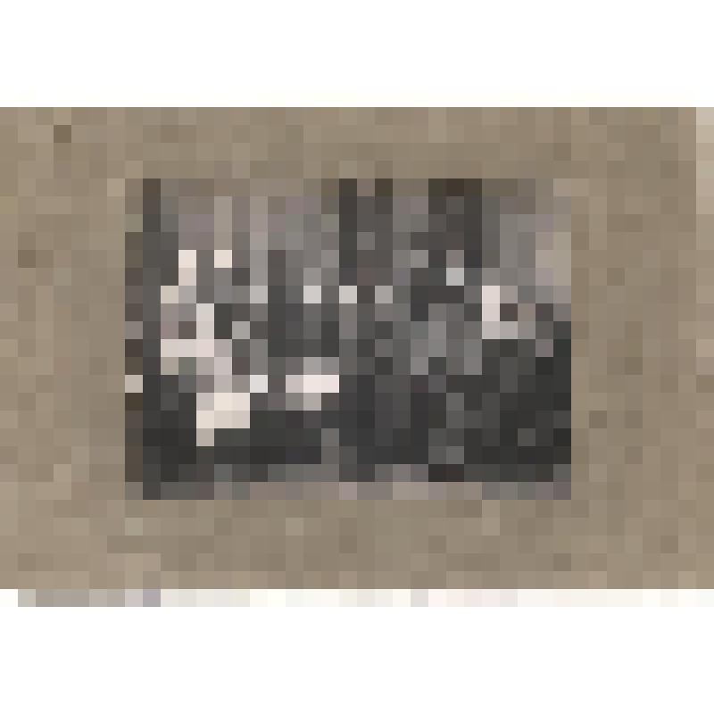 Фотография. Группа участников Первого съезда работников "Крестьянской газеты"