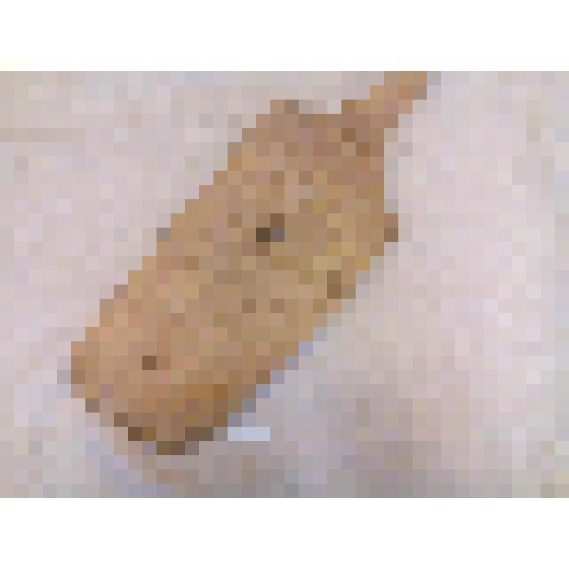 Лопата деревянная