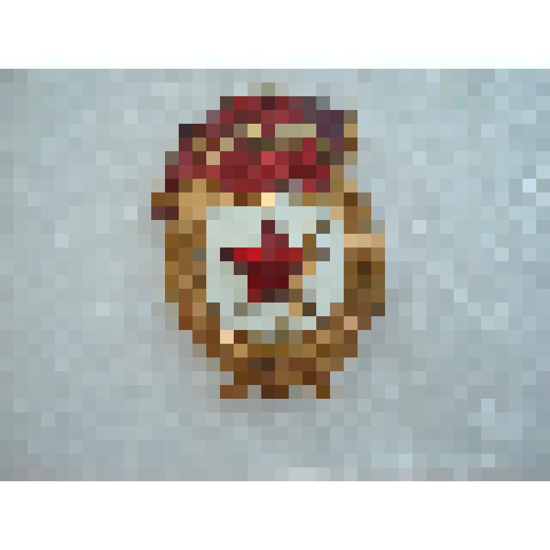 Нагрудный знак " Гвардия" СССР