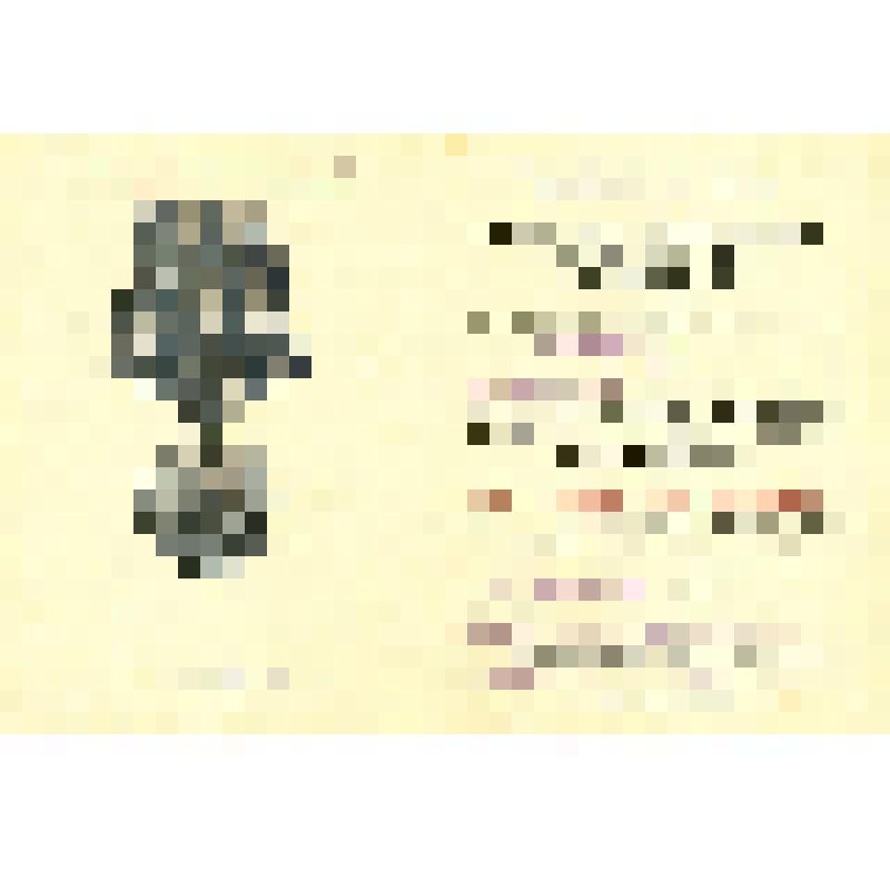 Документ. Удостоверение  В №444103 к медали "За Победу над Японией" Президиума Верховного Совета СССР лейтенанта Буряку А.Р