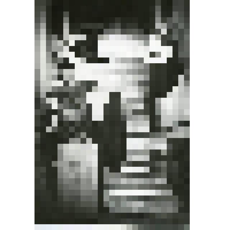 Фотография. Сцена. "Береника" (пост. А. Бородин, худ. С. Бенедиктов). Москва, Российский академический молодежный театр (РАМТ)