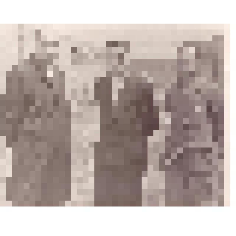Фотография. Мочалов Н.А. с двумя неизвестными