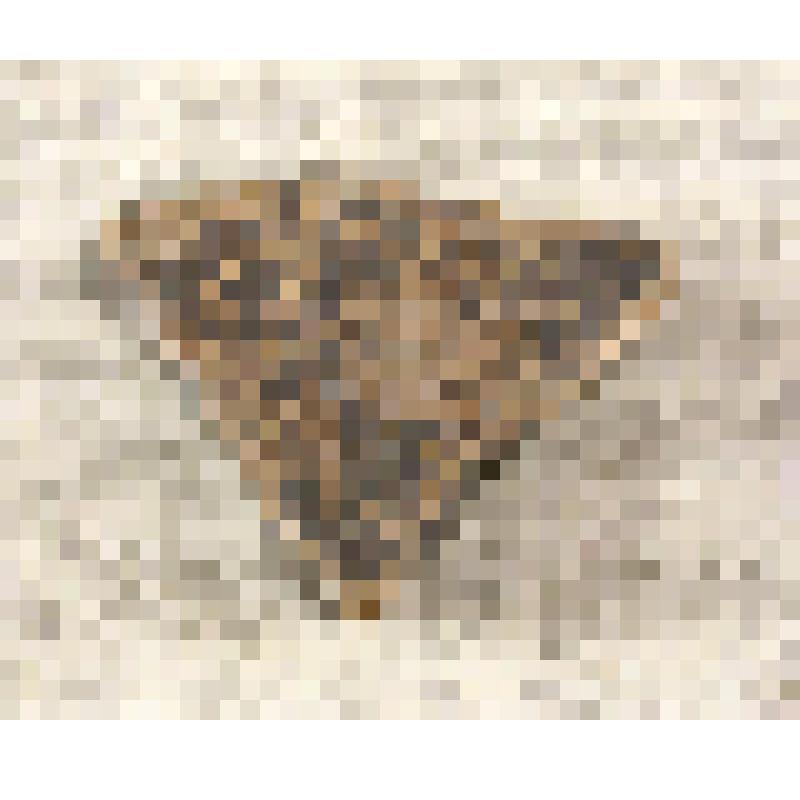 Фрагмент керамики