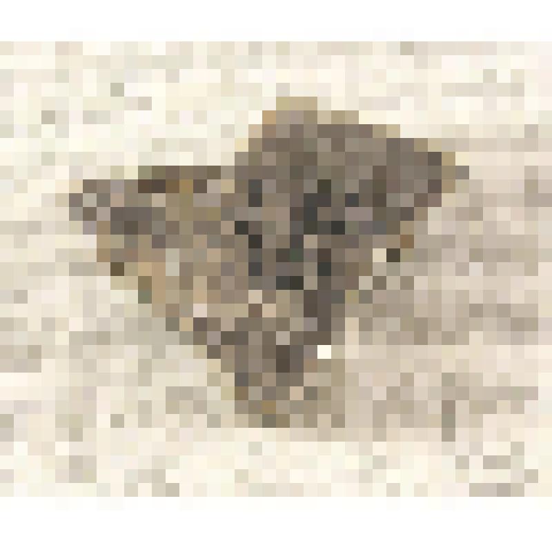 Фрагмент керамики