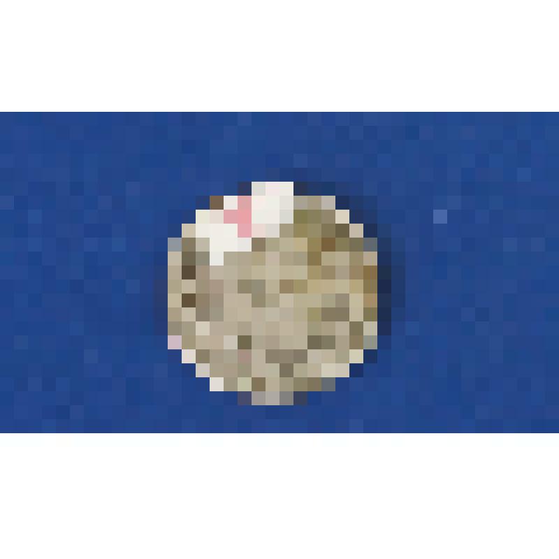 Монета 1PFENNIG 1961 год (ГДР)