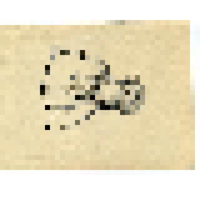 Рисунок. Ловушка для мелкого зверя