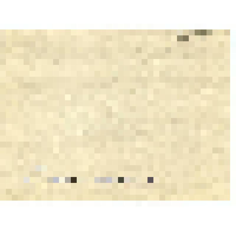 Рисунок. Ловушка для мелкого зверя