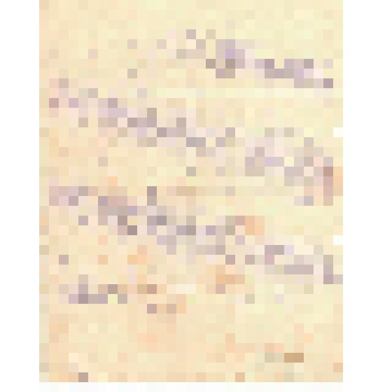 Российская социал-демократическая рабочая партия. Московский комитет РСДРП. Рогожский районный комитет РСДРП. Резолюция Московского комитета о партийных отступлениях