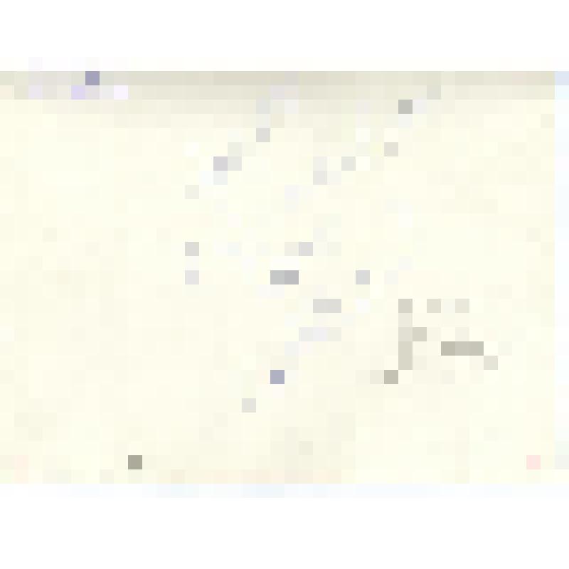 "Эттынкев Михаил - с/з "Анюйский" - на слете оленеводов, 1972 год". Фотография черно-белая