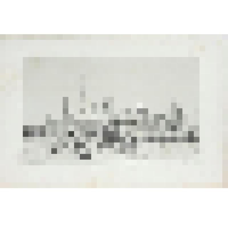 Литография. "Москва. Симонов монастырь. Со стороны Москвы реки."