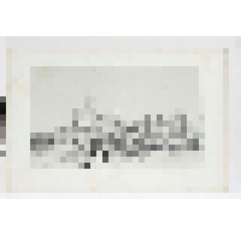 Литография. "Москва. Симонов монастырь. Со стороны Москвы реки."