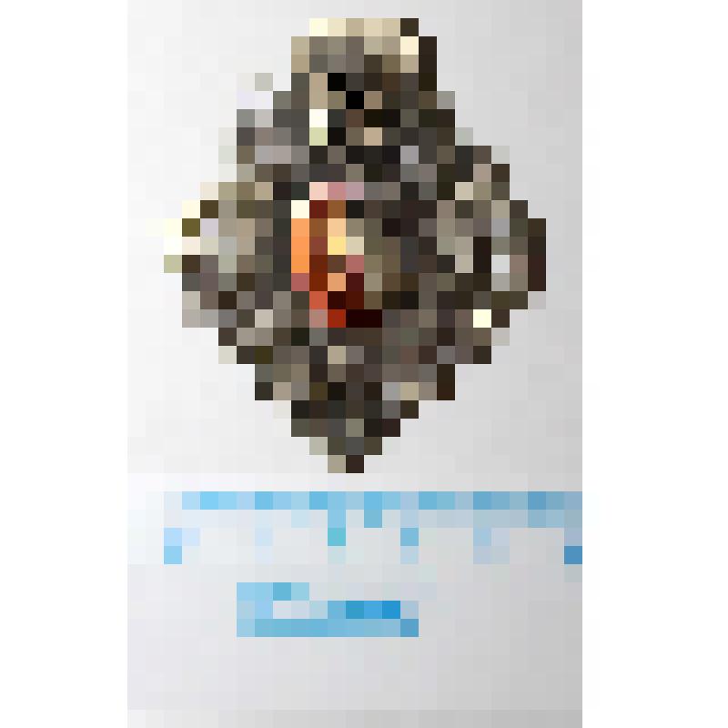 Пряжка серебряная ромбической формы