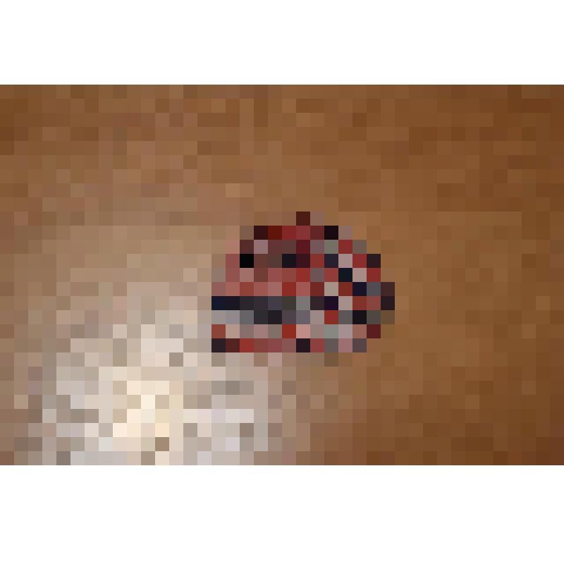 Шорты из "Костюма на куклу "Антошка"