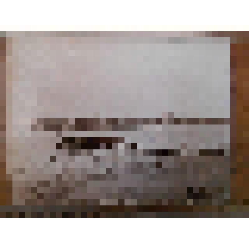 Пристань "Кавказ и Меркурий". Иран, г. Энзели. Энзели - Тегеранская дорога. Пристань "Кавказ и Меркурий". Вид на пристань и дворец Шаха. Д.И. Ермаков