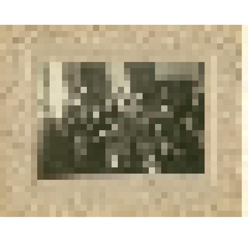 Фотография. Хохлов С.С. с однокурссниками на занятии в химической лаборатории, из коллекции материалов Хохлова Сергея Спиридоновича (1910-1974), саратовского ученого-генетика, доктора биологических наук, профессора, зав.кафедрой генетики и дарвинизма СГУ