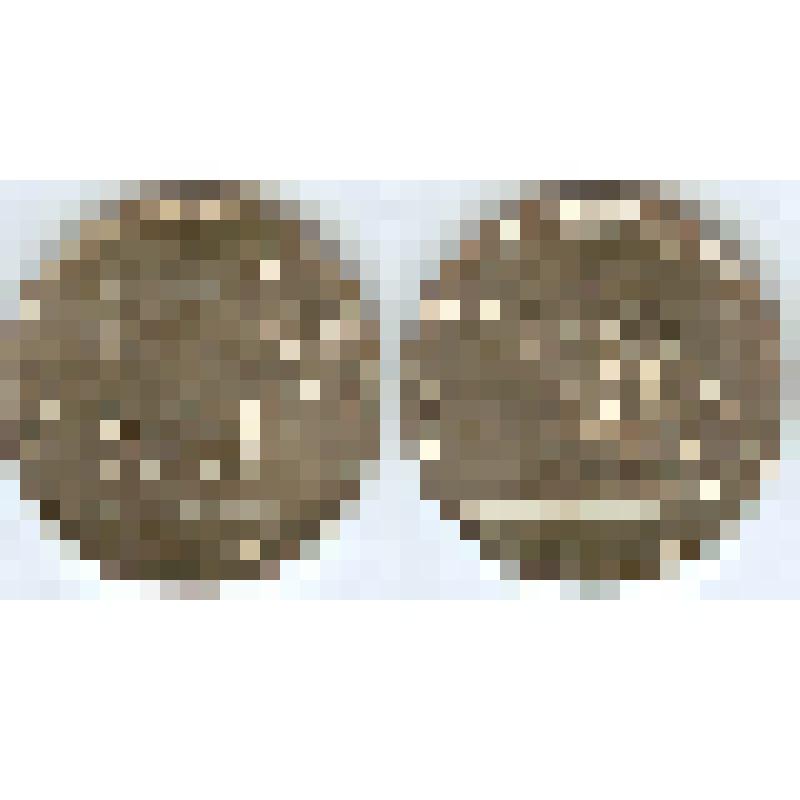 Монета памятная. 5 рублей. Восточно-Прусская операция. Из альбома коллекционного памятных монет банка России, посвященного 70-летию Победы в Великой Отечественной войне 1941-1945 гг