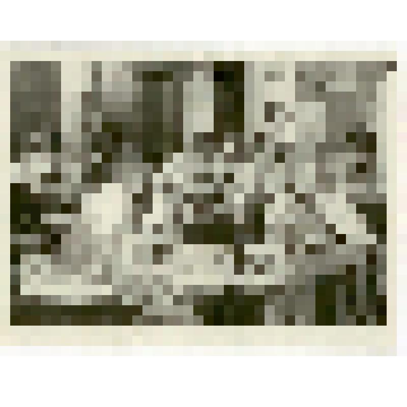 Фотография. Клеменц А.К., доцент кафедры энтомологии Саратовского сельскохозяйственного института, со студентами IV курса отделения защиты растений агрономического факультета на лабораторно–практическом занятии по определению наличия клеща пшеницы