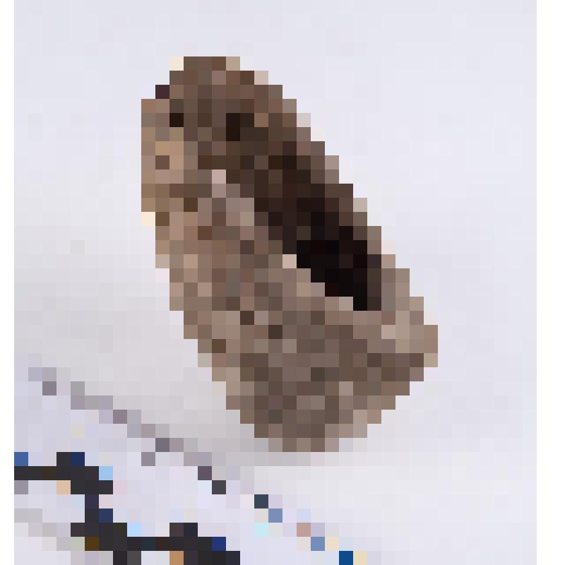 Подпятник