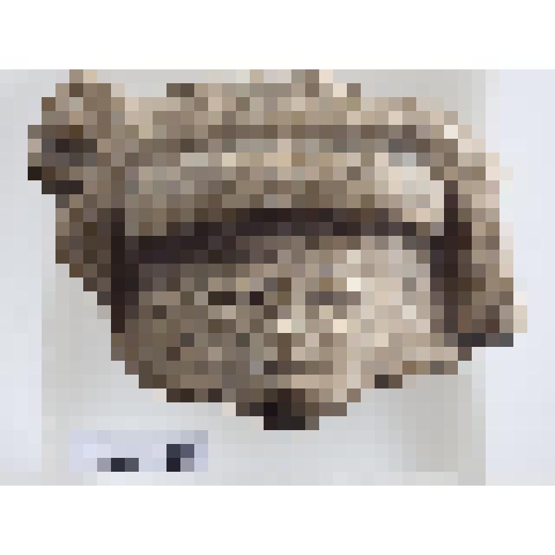 Маска мужчины в широком головном уборе с круглыми серьгами