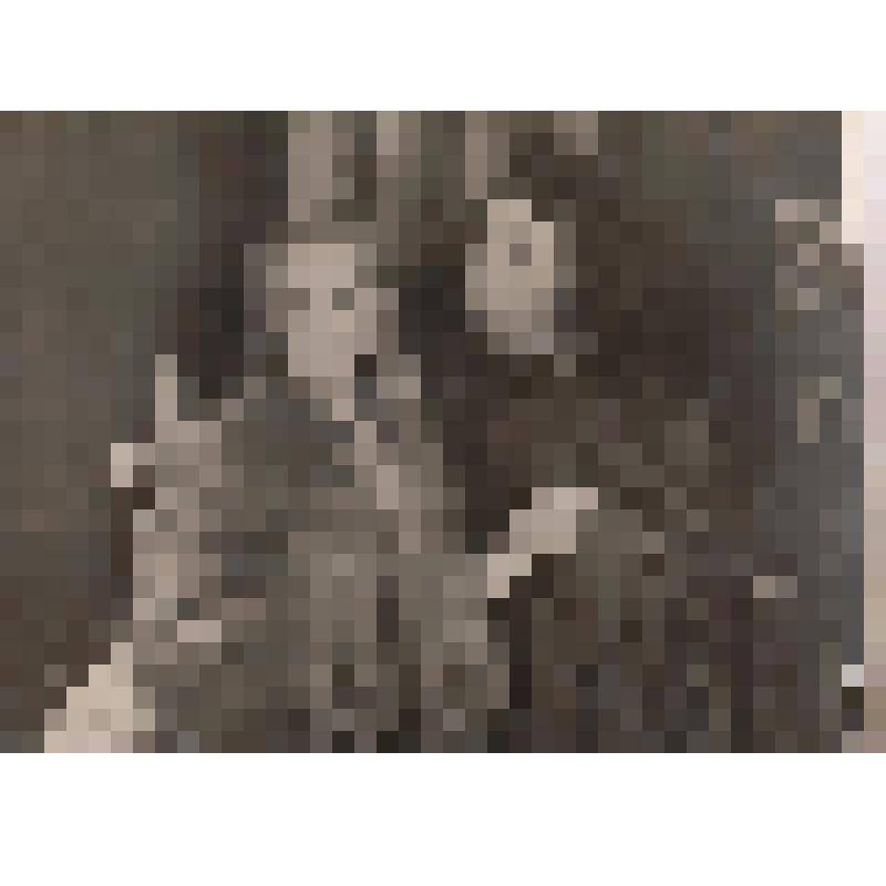 Фотография ч/б. Белоусов Андрей Иванович.Опера «Фауст»