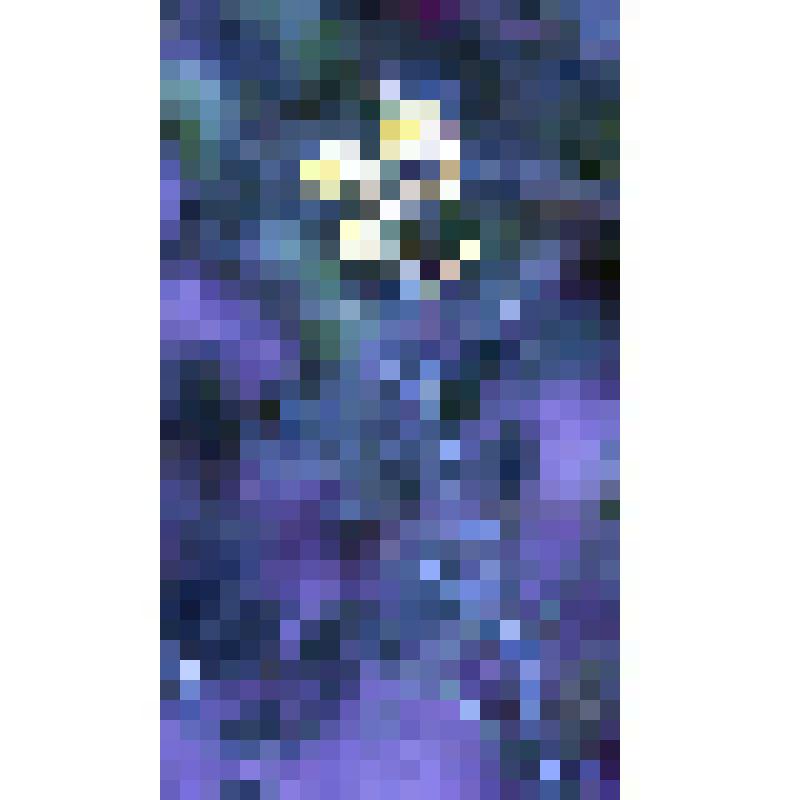 негатив. Льнянка Лозеля