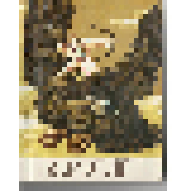 Книги. Книга "Борболен: Эвенкийские народные сказки, предания, легенды". - Красноярск: Красноярское книжное издательство,1987