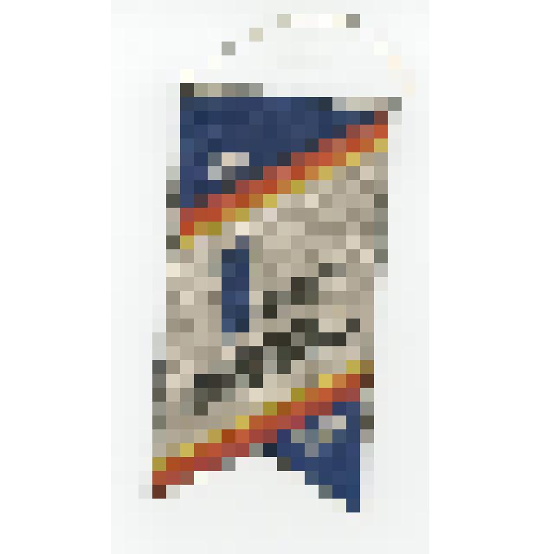 Вымпел. I Всесоюзная конференция "Экология нефтегазового комплекса", г.Надым