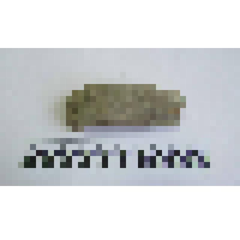 Ручка амфоры типа Зеест 72