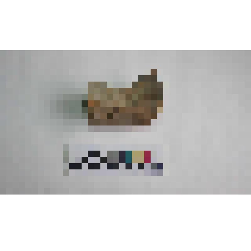 Фрагмент ручки амфоры типа Зеест 80