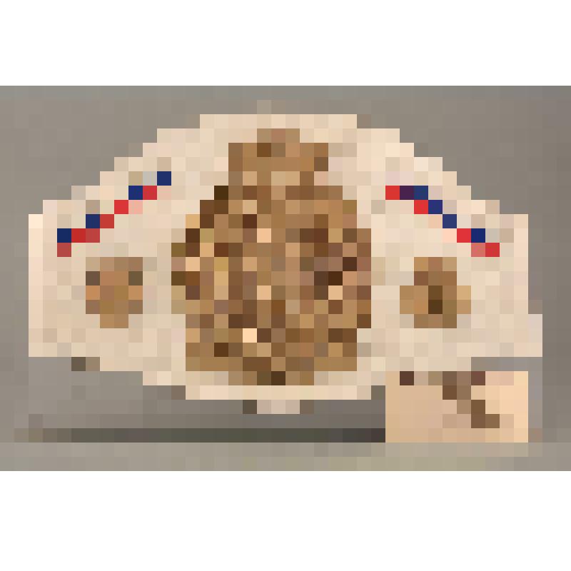 Пояс чемпионской Федерации профессионального бокса России