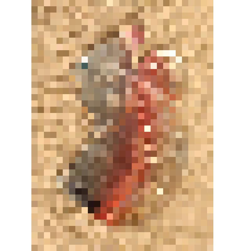 Игрушка елочная картонажная «Белочка»