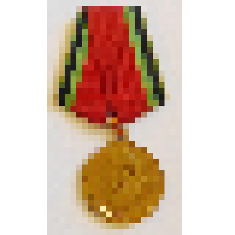 Медаль юбилейная "Двадцать лет победы в Великой Отечественной войне 1941- 1945 гг." Коробко (Лебедевой) М.Ф