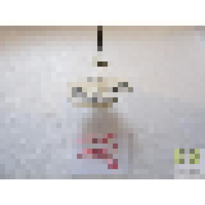 Бегунчик двухточечный (Bembidion bipunctatum L.)